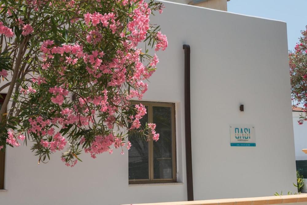 B&B Oasi Sul Mare San Salvo Marina Zewnętrze zdjęcie